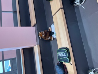 Das perfekt passende Maskottchen